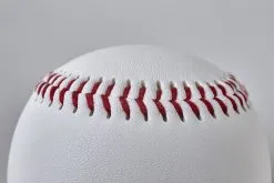 Baseball TRAINING CD-BEE8 Ø Ca. 6,5 Cm -Freizeitspiele Verkaufsgeschäft D7927 A04 ecommerce