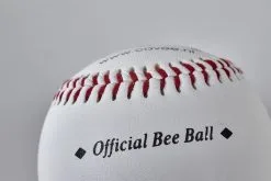 Baseball TRAINING CD-BEE8 Ø Ca. 6,5 Cm -Freizeitspiele Verkaufsgeschäft D7927 A05 ecommerce