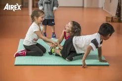 AIREX® Gymnastikmatte Diana -Freizeitspiele Verkaufsgeschäft G3802 B02 ecommerce