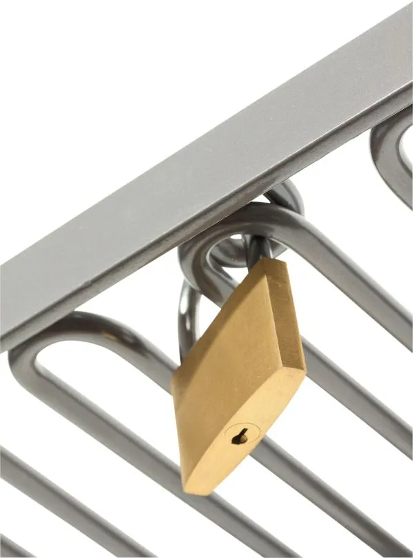 Kübler Sport® Aufhängevorrichtung, Abschließbar 4 Kübler Sport® Aufhängevorrichtung, Abschließbar – Bild 2