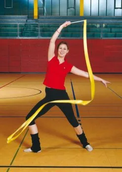 RYTMO Doppelband -Freizeitspiele Verkaufsgeschäft G6261 00 ecommerce 12