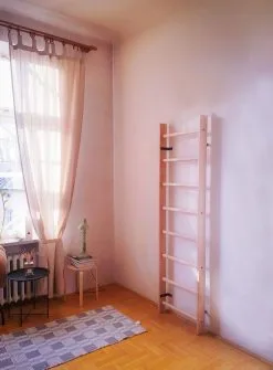 BenchK® Sprossenwand 100 -Freizeitspiele Verkaufsgeschäft K2350 A03 ecommerce