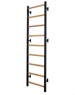 BenchK® Sprossenwand 700