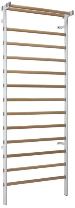Ferrox® Therapie-Sprossenwand, 240 X 90 Cm