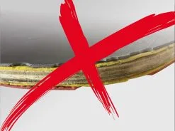 Donic Schildkröt Donic-Schildkröt® Tischtennisschläger PROTECTION LINE S300 8 Donic Schildkröt Donic-Schildkröt® Tischtennisschläger PROTECTION LINE S300 -Freizeitspiele Verkaufsgeschäft T49710 A02 ecommerce 1