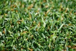 Polytan® Kunstrasen LigaGRASS® Synergy -Freizeitspiele Verkaufsgeschäft VG 003067 A01 ecommerce 7