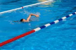 Schwimmleine Gem. FINA-Vorschrift, Wettkampf 12 Schwimmleine Gem. FINA-Vorschrift, Wettkampf -Freizeitspiele Verkaufsgeschäft W7610 B02 ecommerce 2